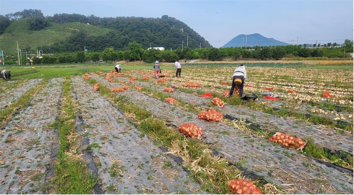 기사 대표 이미지