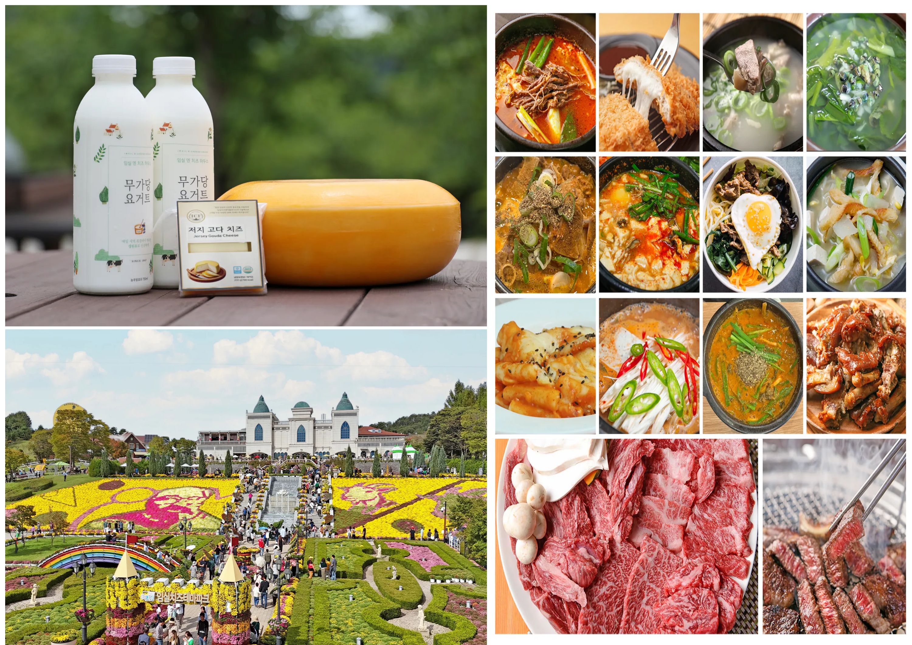 기사 대표 이미지