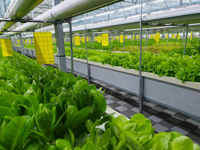 기사 대표 이미지