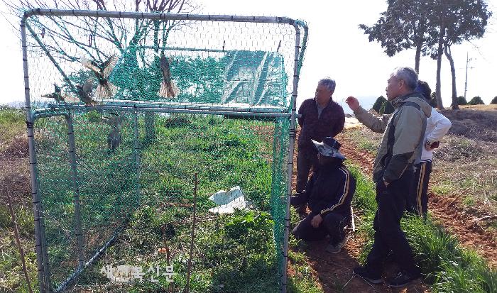 기사 대표 이미지