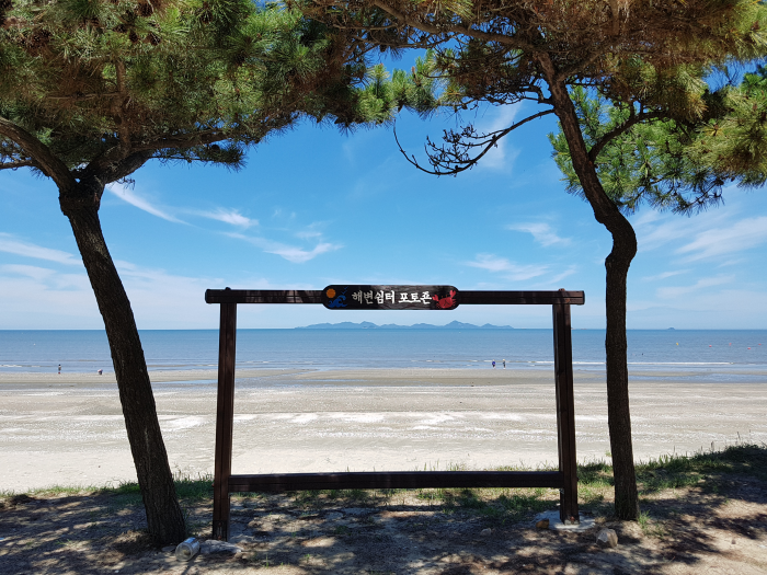 기사 대표 이미지