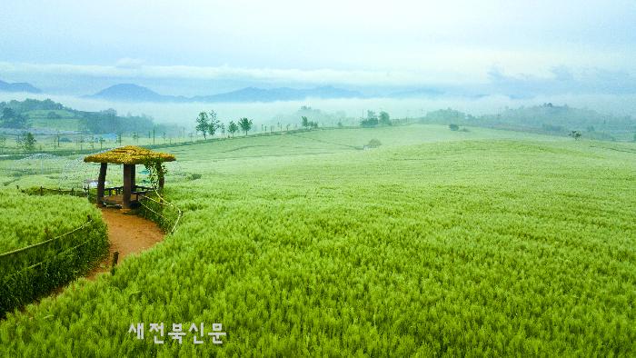 기사 대표 이미지
