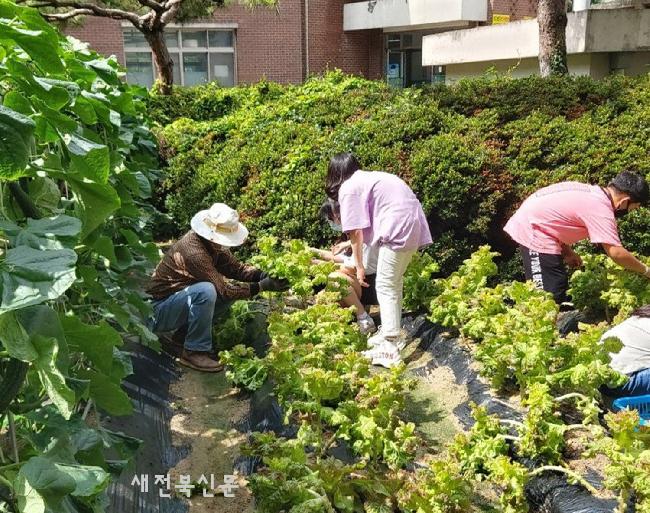 기사 대표 이미지