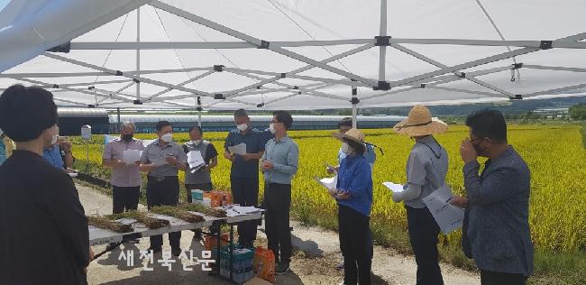 기사 대표 이미지