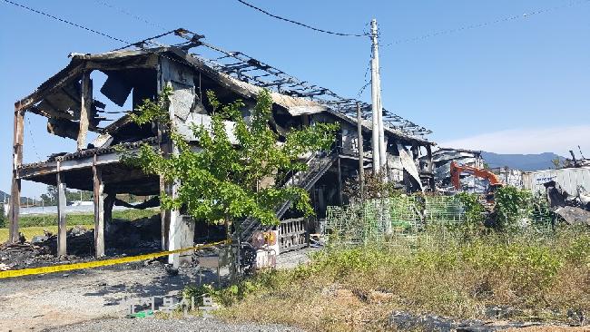 기사 대표 이미지