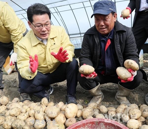 기사 대표 이미지