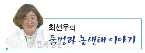 기사 대표 이미지