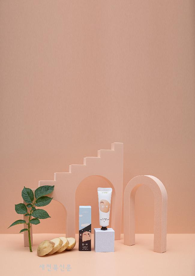 기사 대표 이미지