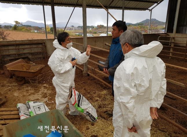 기사 대표 이미지