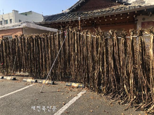 기사 대표 이미지