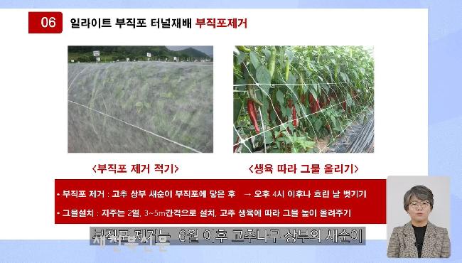 기사 대표 이미지