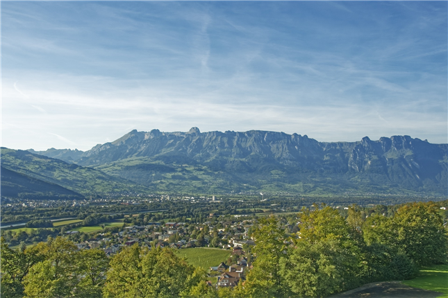 기사 대표 이미지