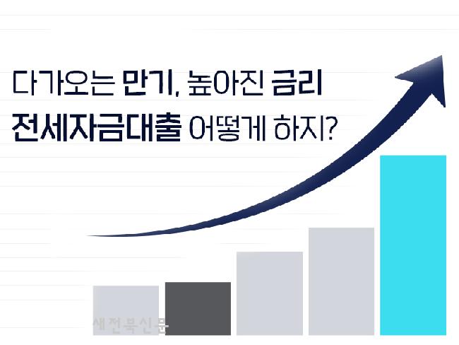 기사 대표 이미지
