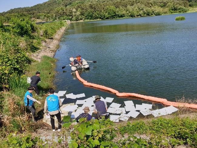 기사 대표 이미지