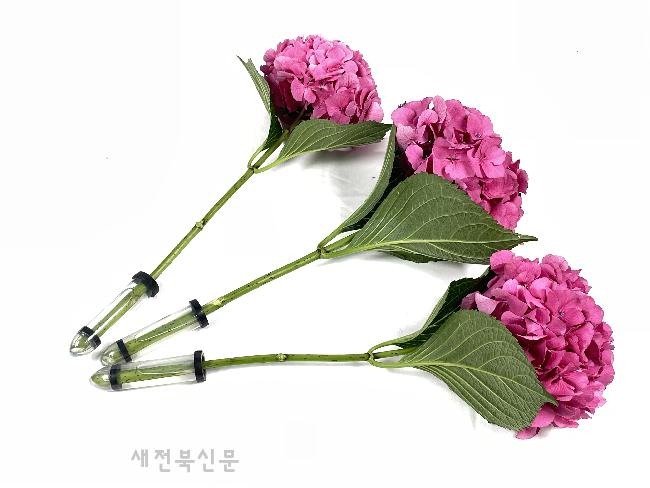 기사 대표 이미지