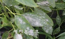 기사 대표 이미지