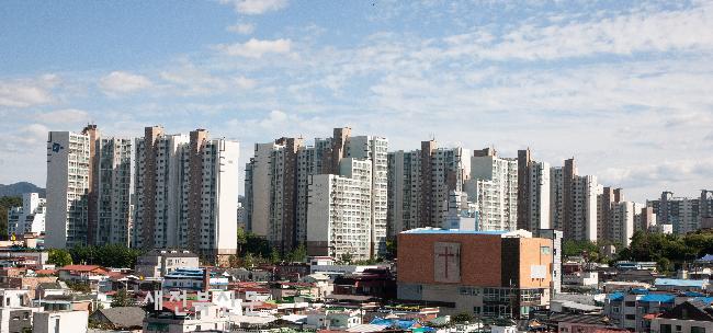 기사 대표 이미지