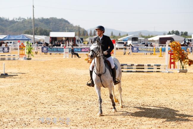 기사 대표 이미지