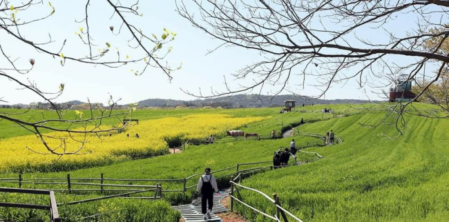 기사 대표 이미지