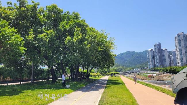 기사 대표 이미지