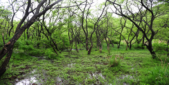 기사 대표 이미지