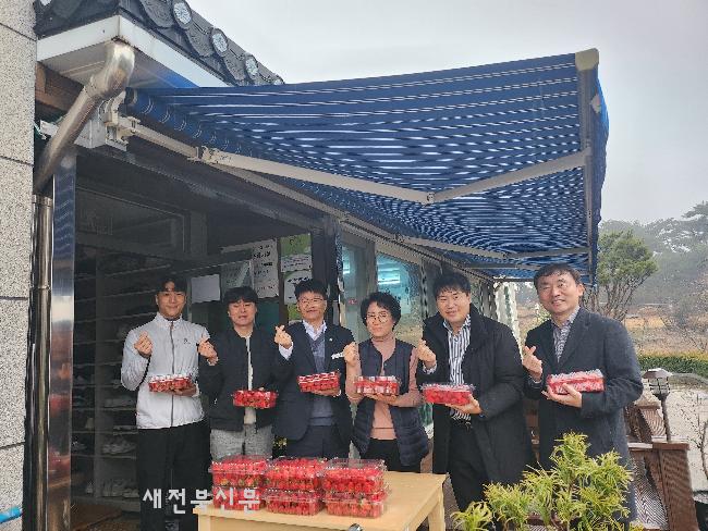 기사 대표 이미지