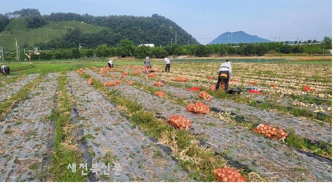 기사 대표 이미지