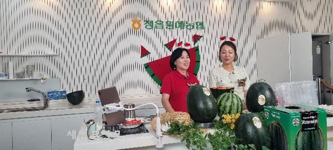 기사 대표 이미지