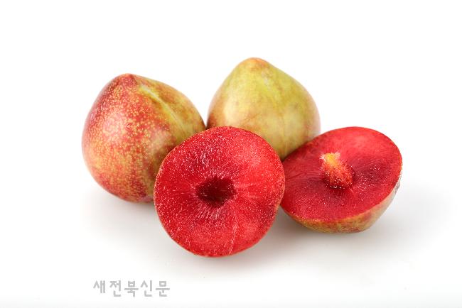 기사 대표 이미지