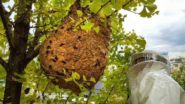 기사 대표 이미지