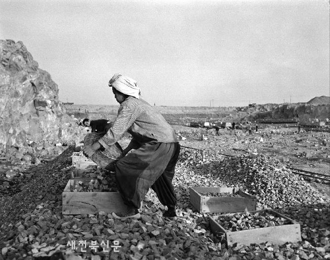 기사 대표 이미지