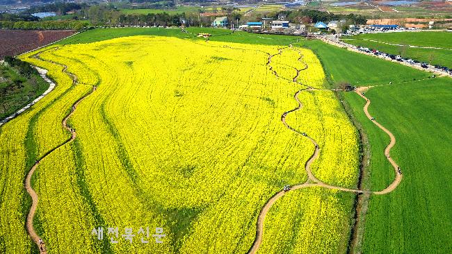 기사 대표 이미지