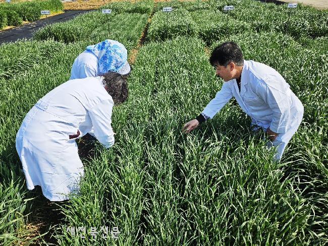 기사 대표 이미지