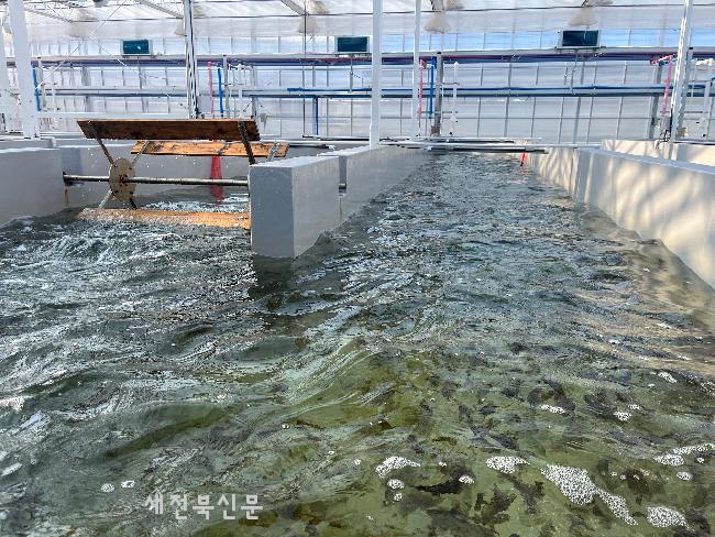 기사 대표 이미지