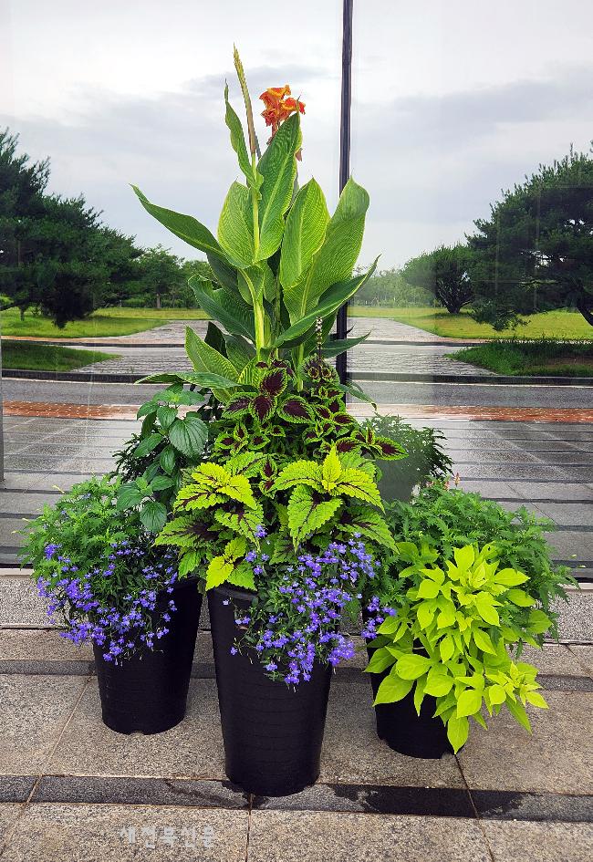 기사 대표 이미지