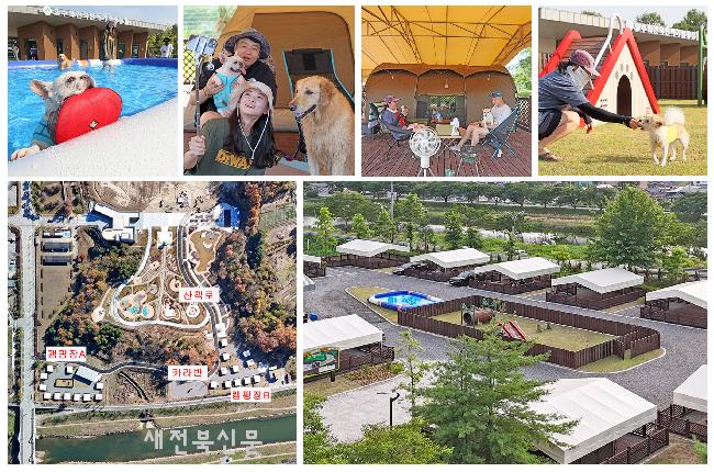 기사 대표 이미지