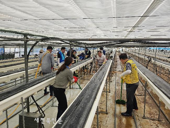 기사 대표 이미지