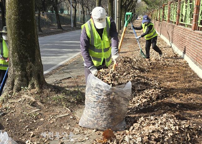 기사 대표 이미지