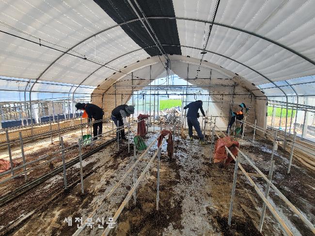 기사 대표 이미지