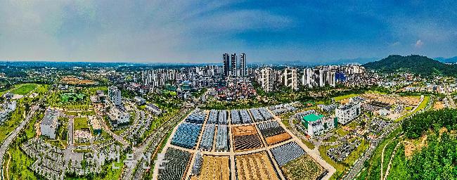 기사 대표 이미지