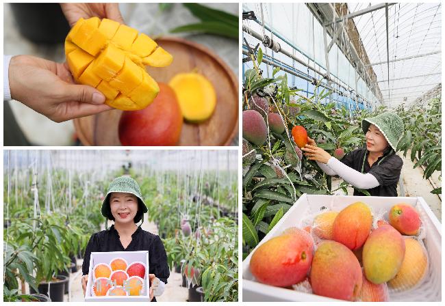 기사 대표 이미지