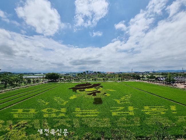 기사 대표 이미지