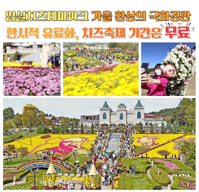 기사 대표 이미지