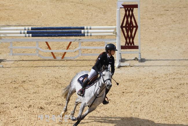 기사 대표 이미지