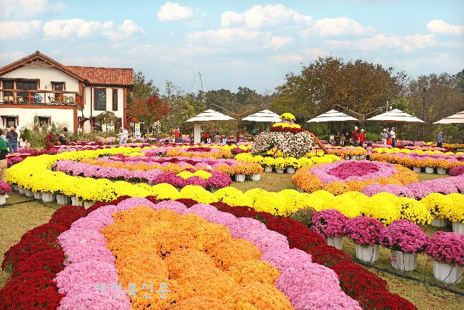 기사 대표 이미지
