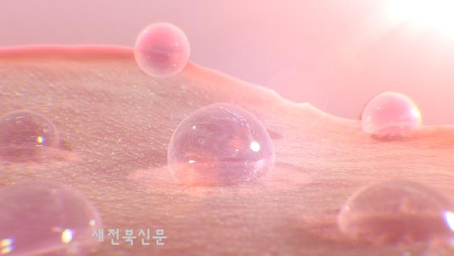 순도 이미지