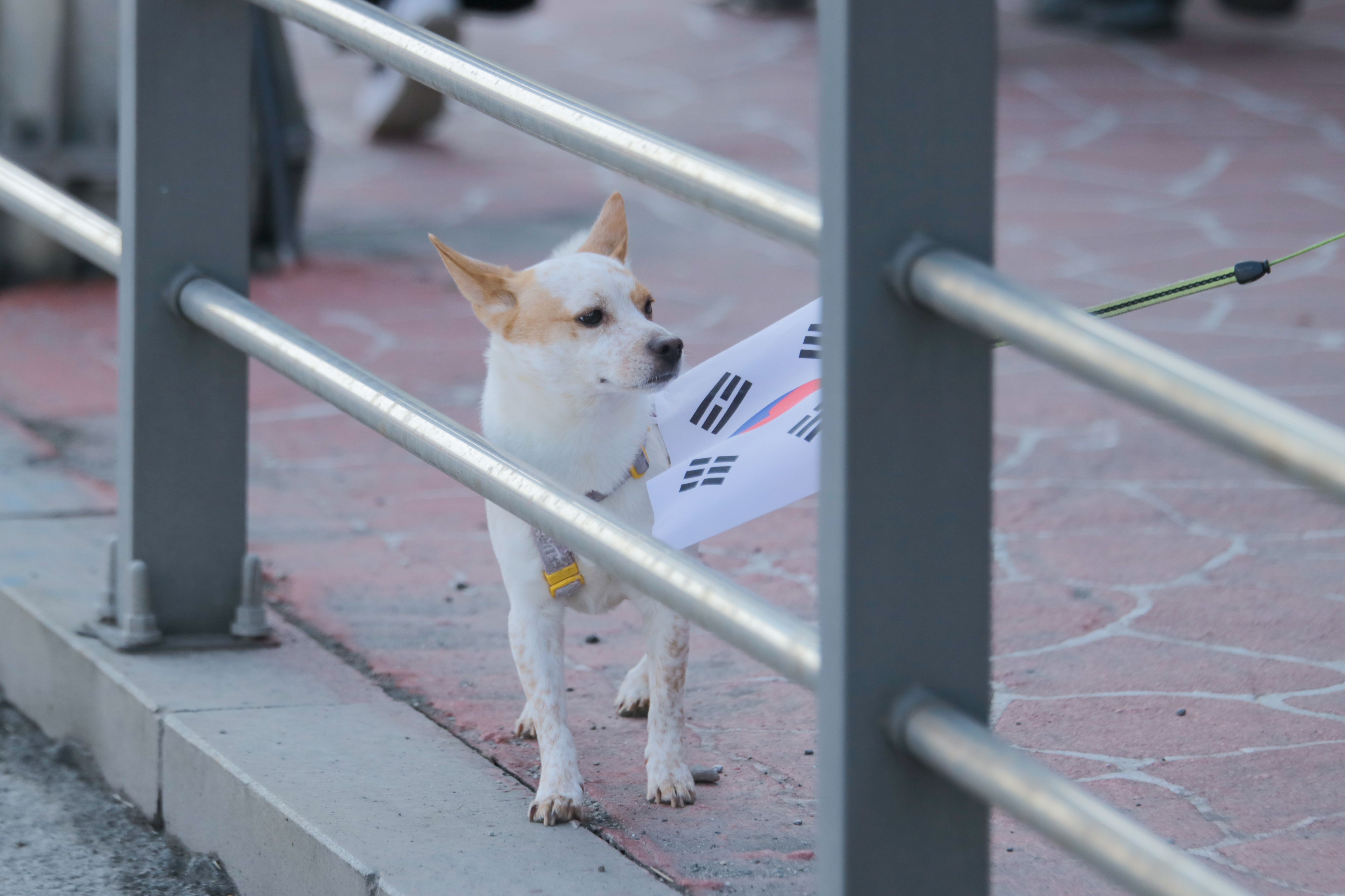 슬라이드 이미지 2