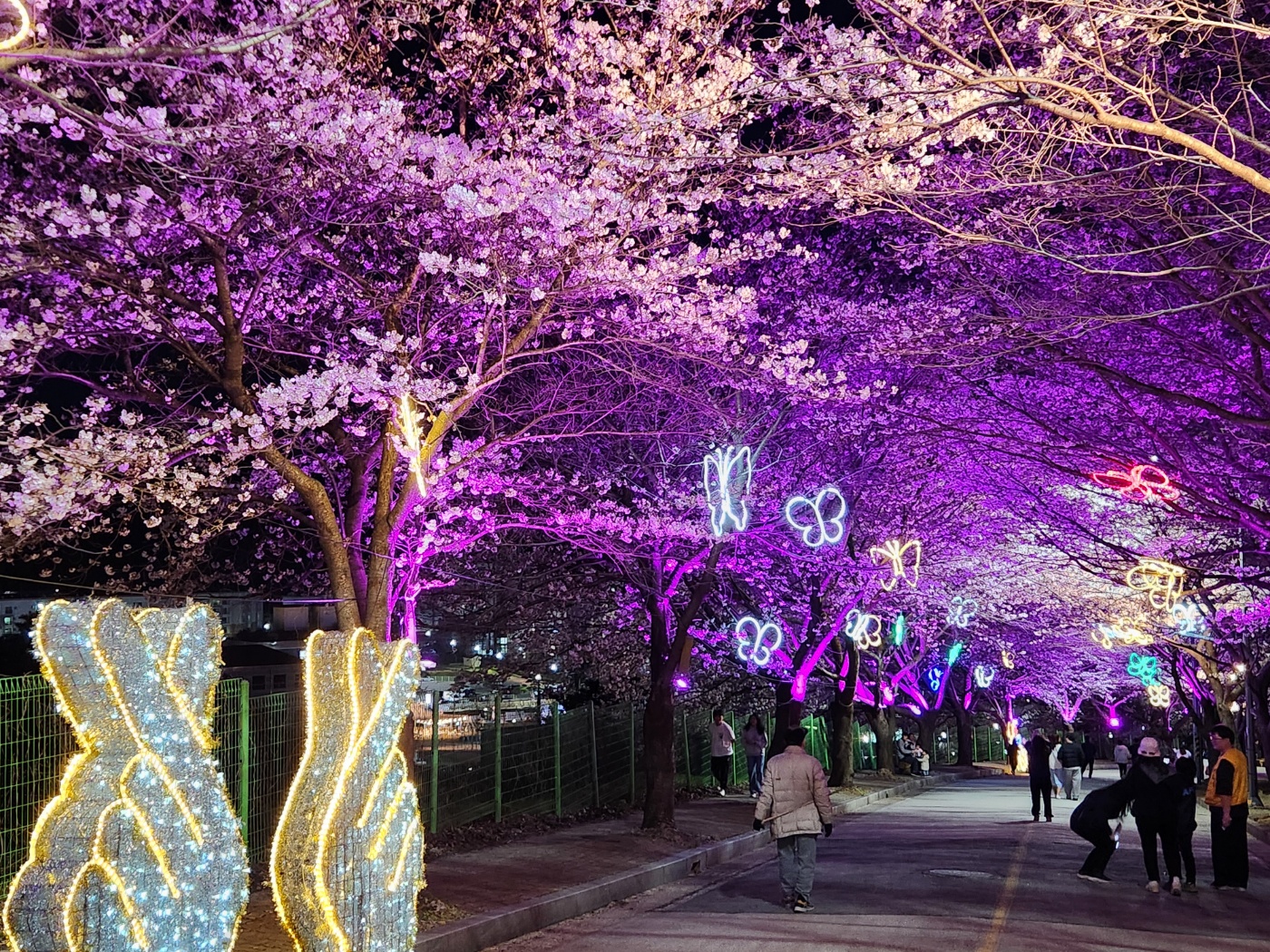 슬라이드 이미지 3