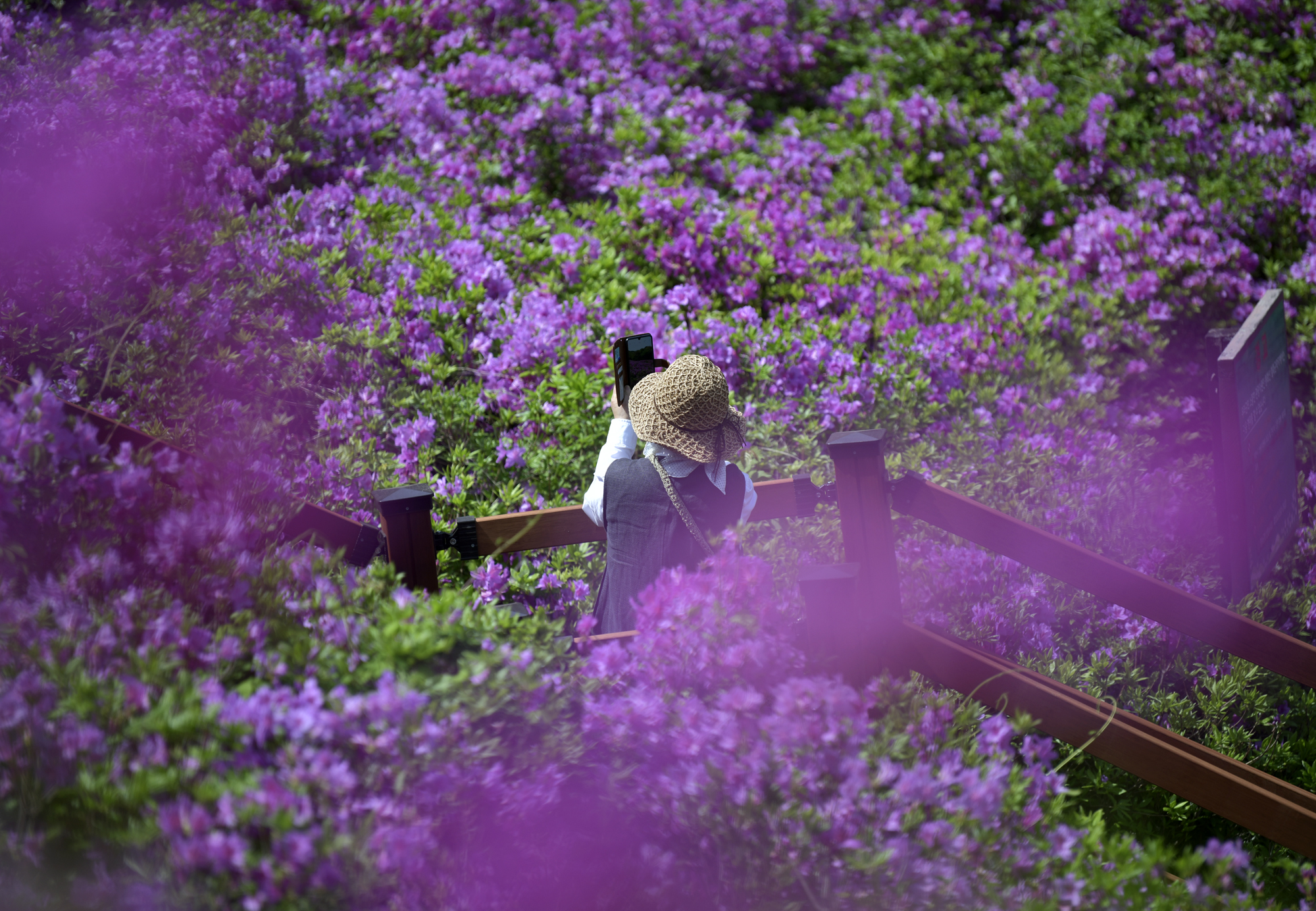 슬라이드 이미지 1