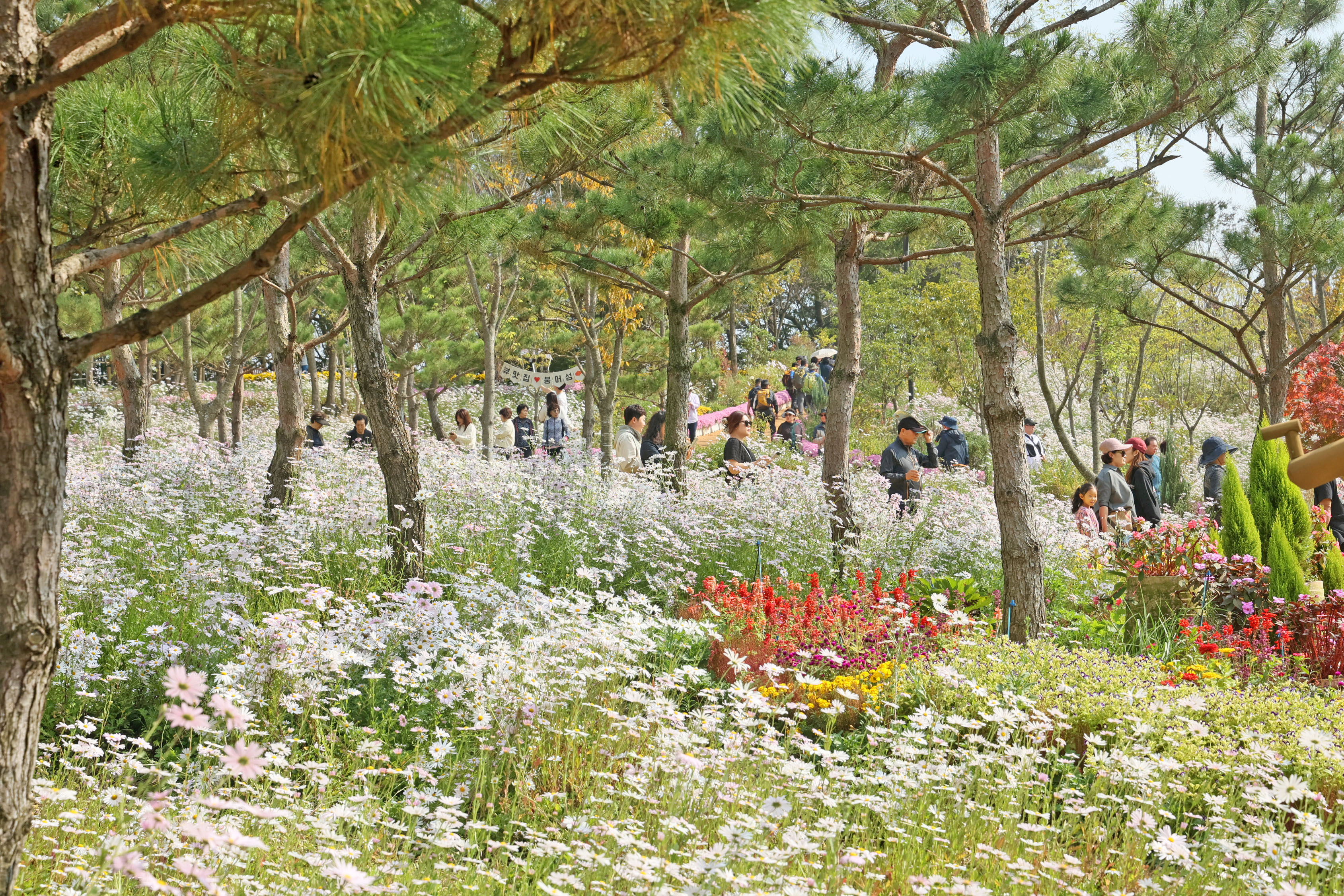 슬라이드 이미지 1